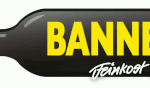 BANNEKE GmbH