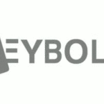H. Seybold GmbH & Co KG