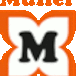 Müller Holding GmbH & Co. KG